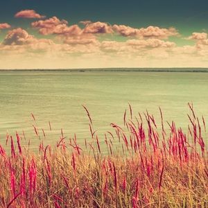 Meet your Posher, Kristi